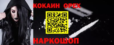 мет Кингисепп