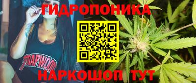 2c-b Кимры