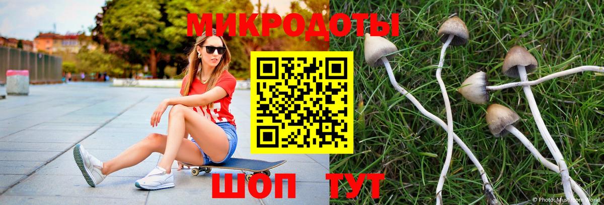 Псилоцибиновые грибы ЛСД Касимов