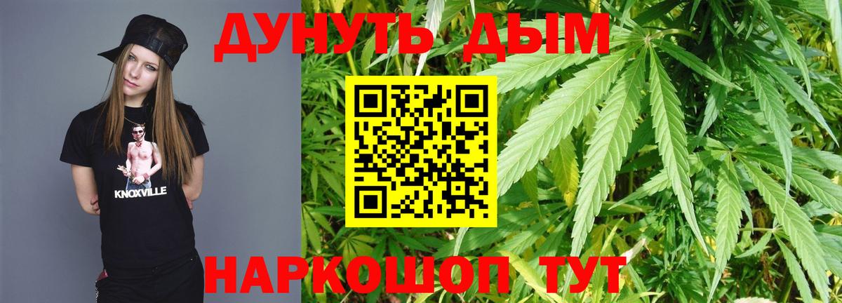Каннабис ГИДРОПОН Касимов